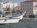 thalassa 161